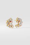 Vivid Cluster Studs