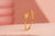 Ring-1